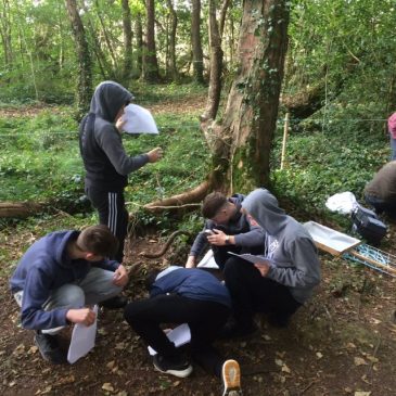2nd year Ecology field trip in Lullymore 7th October 2016